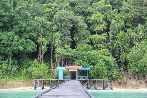 Kalimantan Fransisca S review images