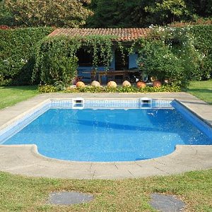 The swimming-pool