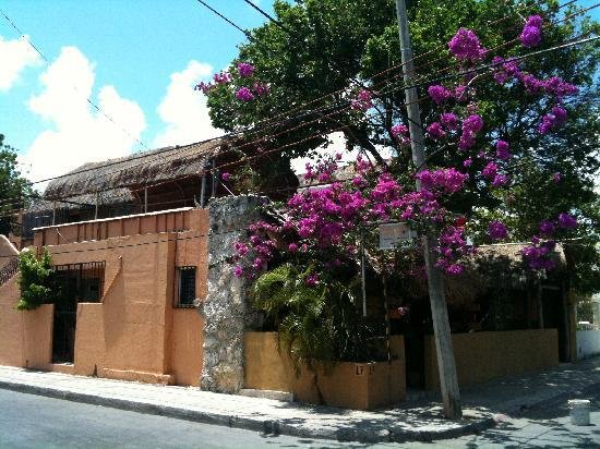 Imagen 13 de Mayan Hostel Cancun