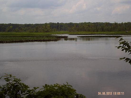 Cumberland Marsh Natural Area Preserve image