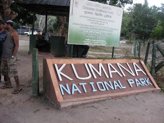 Kumana National Park image