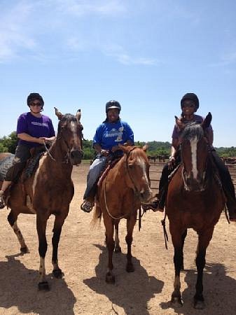 Kinni Valley Riding Academy image