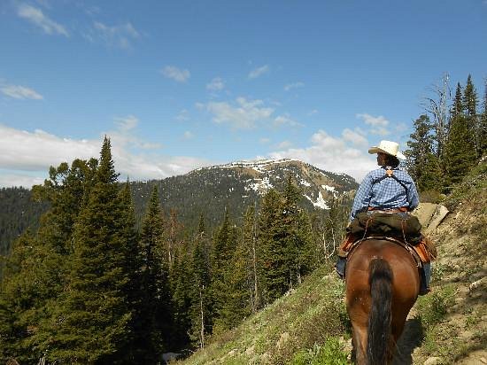Yellowstone Mountain Guides Day Tours (West Yellowstone) - All You Need ...