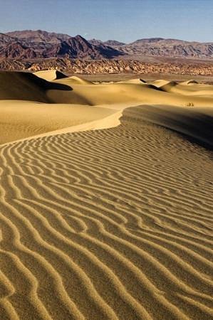 Mahabar Sand Dunes image