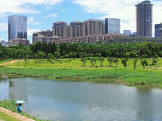 Shenzhen Central Park image