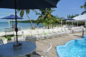 Grabbers Bed, Bar & Grill in Great Guana Cay, image may contain: Summer, Resort, Hotel, Plant