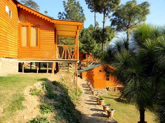 HOTEL PINEWOOD COTTAGES KASAULI - Prices & Campground ...