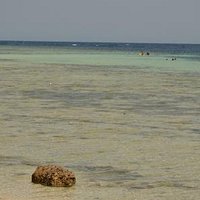 Gebel El Rosas (Marsa Alam) - All You Need to Know BEFORE You Go