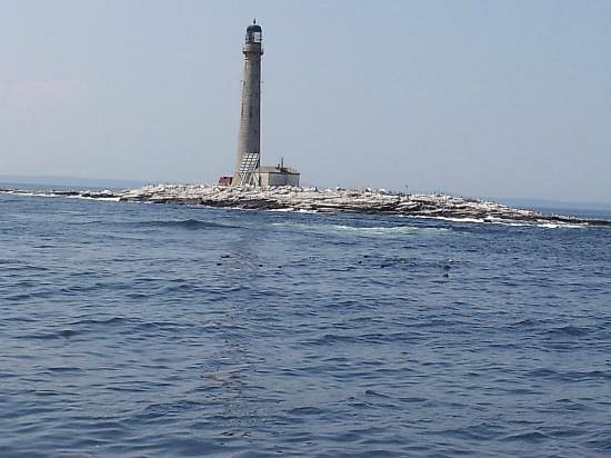 whale watching cruise kennebunkport maine