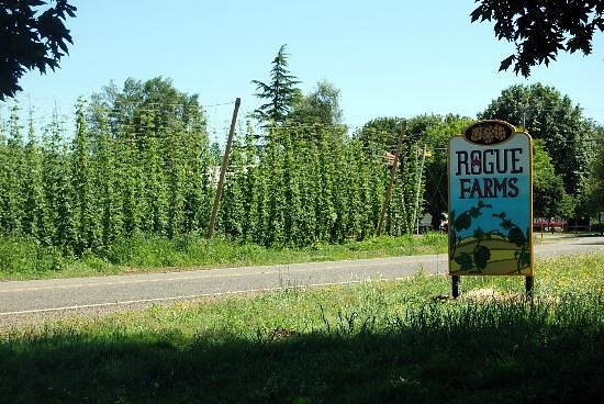 Rogue Farms Micro Hopyard image