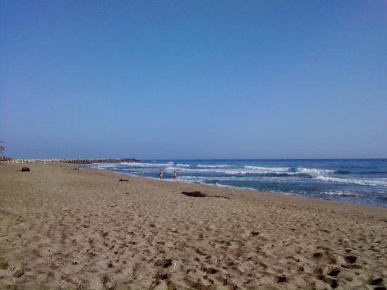 Playa Pantaleta image