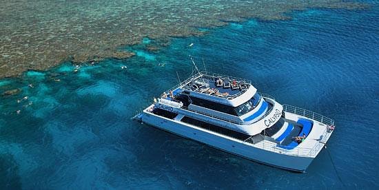 Calypso Reef Cruises image
