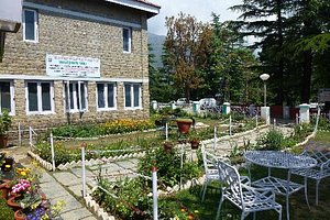 Hotel Bhagsu - HPTDC in McLeod Ganj, image may contain: Garden, Nature, Potted Plant, Backyard