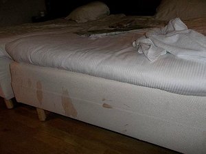 4 star bed cleanliness?
