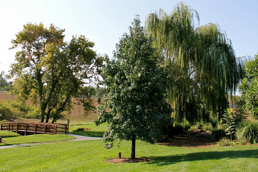 OPPD Arboretum image