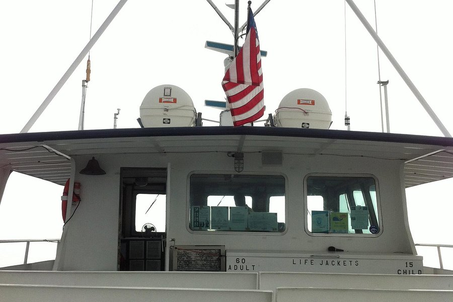 Plymouth to Provincetown Express Ferry image