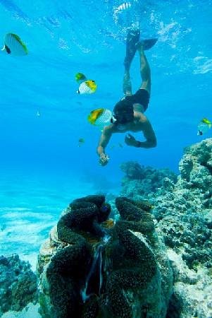 Aitutaki Adventures image
