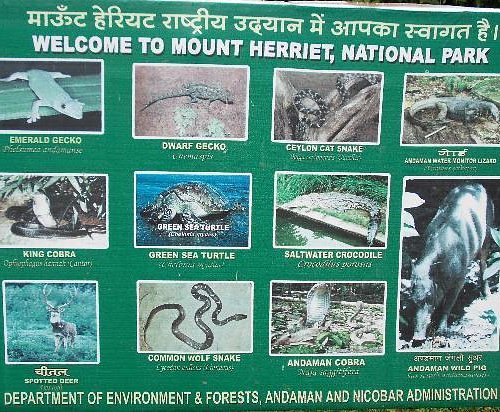 What to do and see in Andaman and Nicobar Islands, Andaman and Nicobar  Islands: The Best National Parks