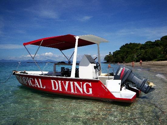 Tropical Diving image