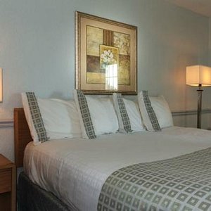 Comfort Inn Savannah in Savannah, image may contain: Hotel, City, Inn, Neighborhood
