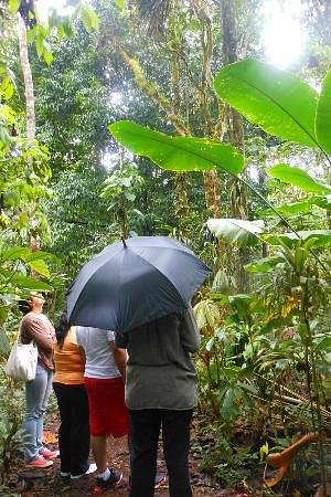 Jardin Botanico las Orquideas (Puyo) - Lo que se debe saber antes de viajar  - Tripadvisor