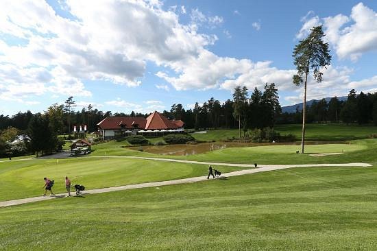 Golf Arboretum image