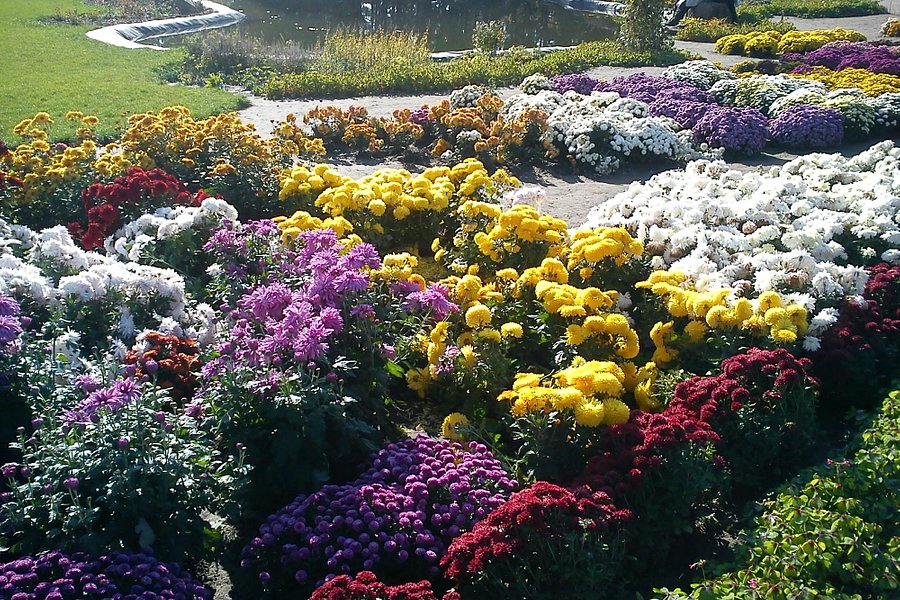 Grishko Central Botanical Garden image