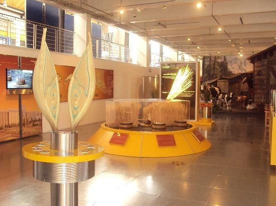 Modelo Museum of Science and Industry (Toluca) - 2023 Lo que se debe saber  antes de viajar - Tripadvisor