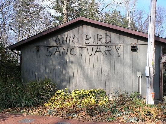 At the Ohio Bird Sanctuary, you can feed birds.