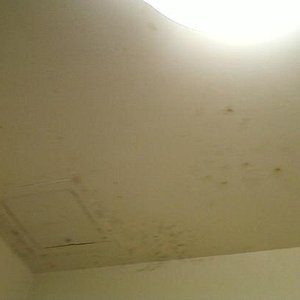 Mold on bathroom ceiling
