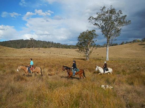 Chapman Valley Horse Riding image