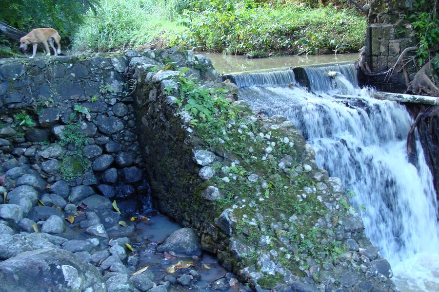 Latille Waterfalls and Gardens image