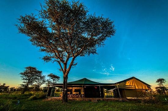 ANG'ATA CAMP SERENGETI - Updated 2023 Prices & Lodge Reviews (Serengeti  National Park, Tanzania)