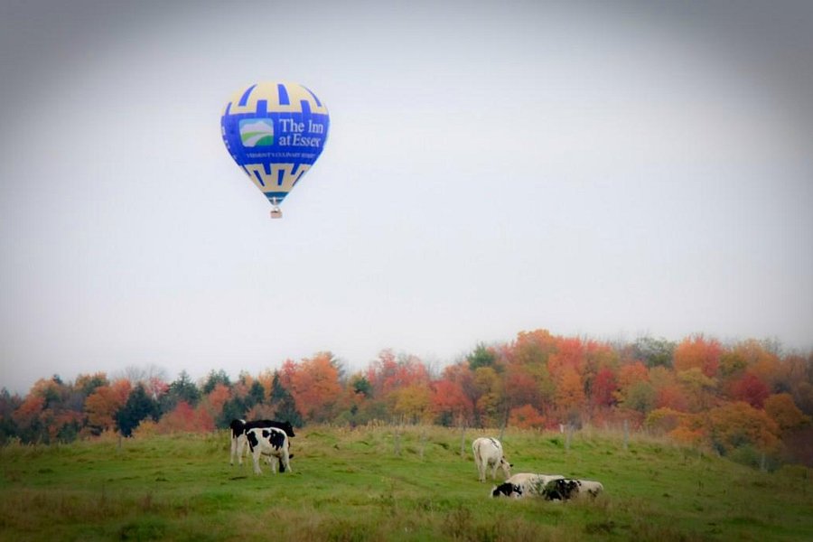 Above Reality Inc. Hot Air Balloon Rides image