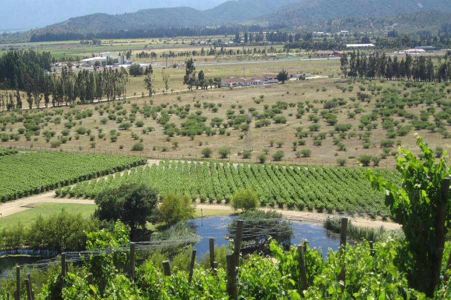 Casablanca Valley Wine Route image