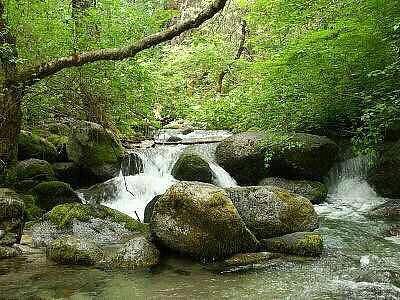 Berry Creek Falls image
