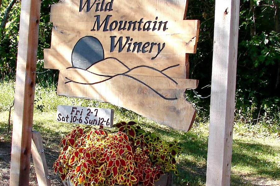 Wild Mountain Winery image
