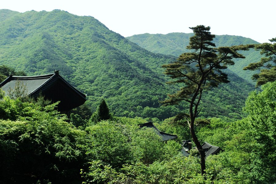 Jirisan National Park image