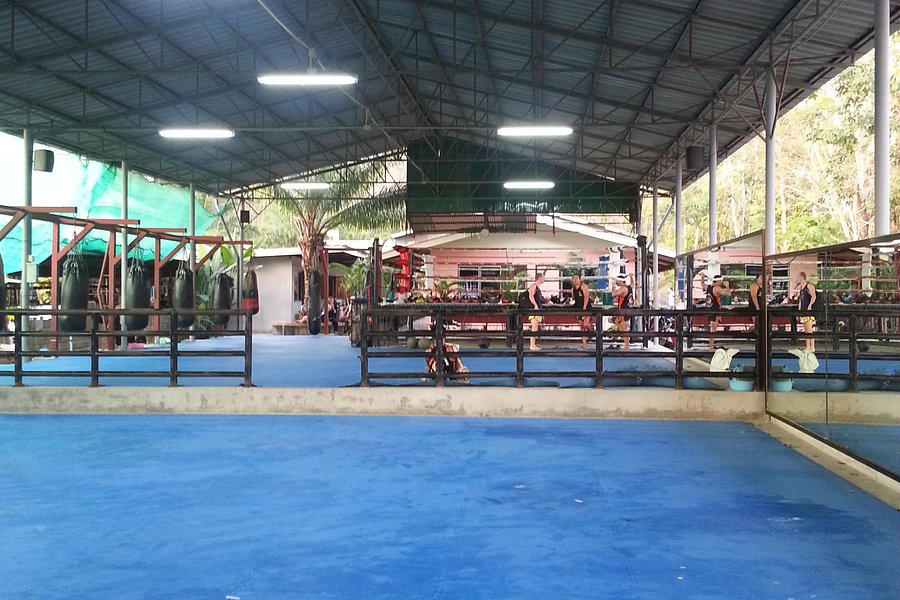 Tiger Muay Thai - Day Classes image