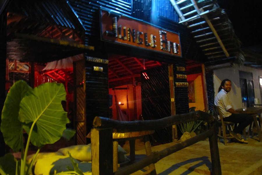 Jungle Bar image