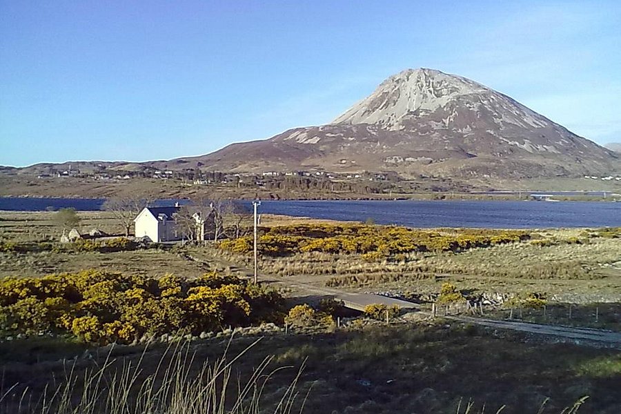 Dunlewey Trekking Centre and Stables image