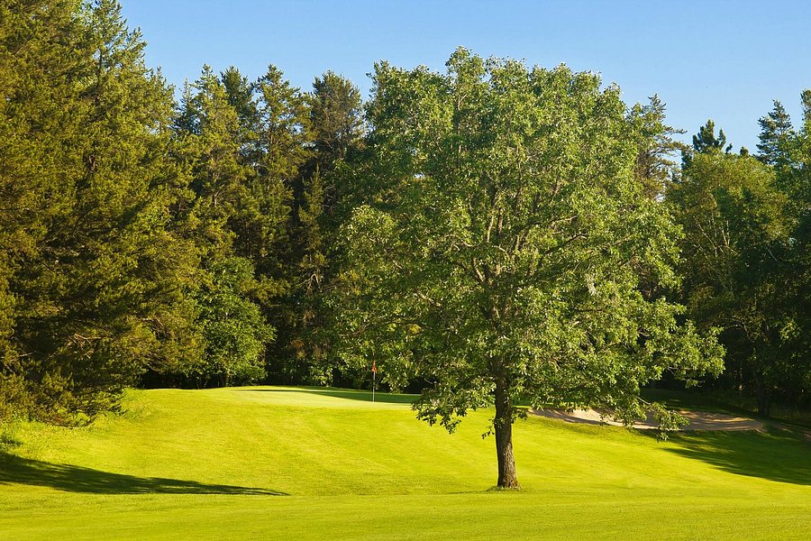 Whitebirch Golf Course image