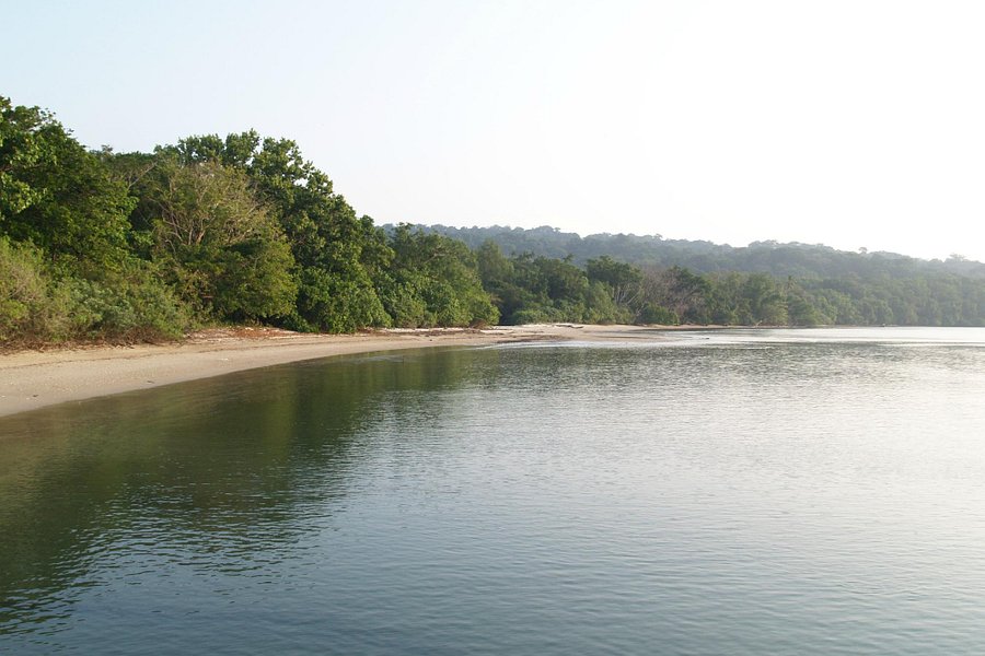 Ujung Kulon National Park image