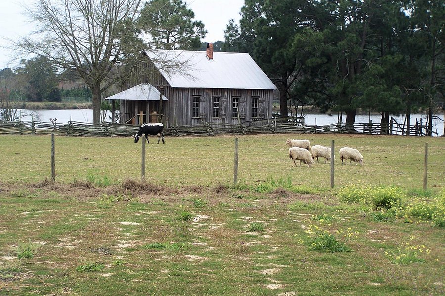 Georgia Museum of Agriculture and Historic Village image