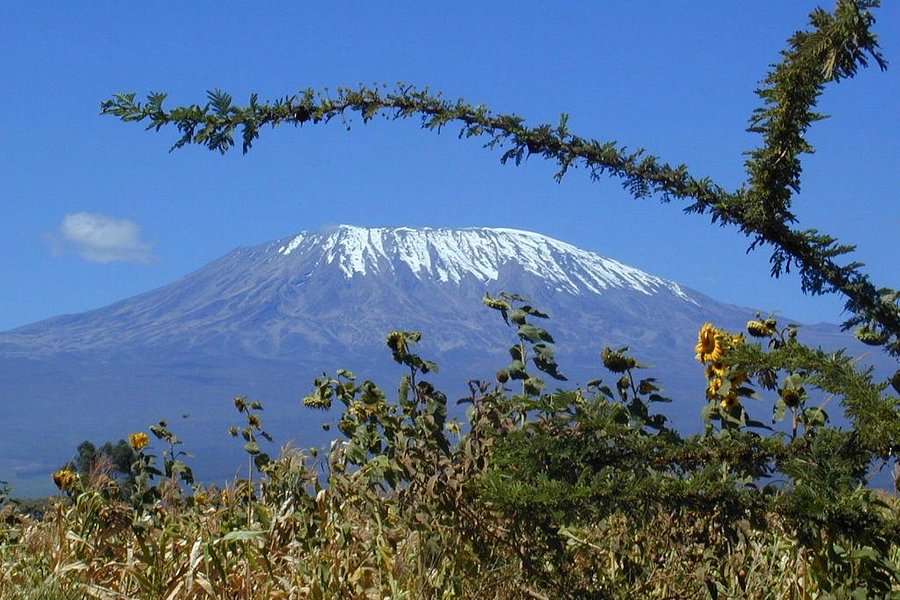 Mount Kilimanjaro image