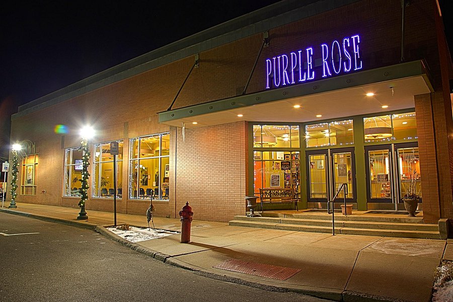 Purple Rose Theatre image