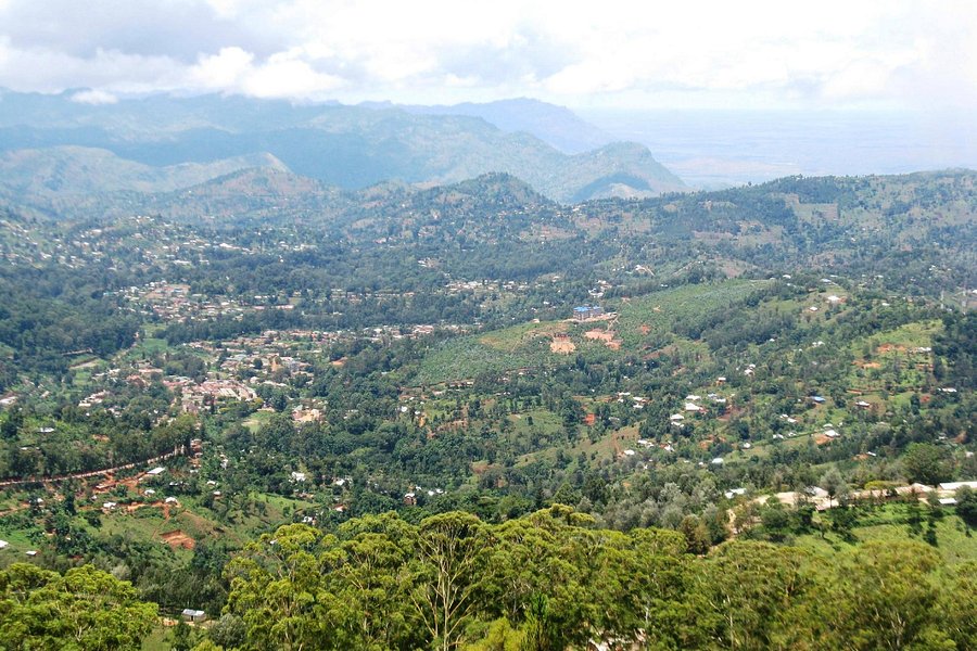 Usambara Mountains image