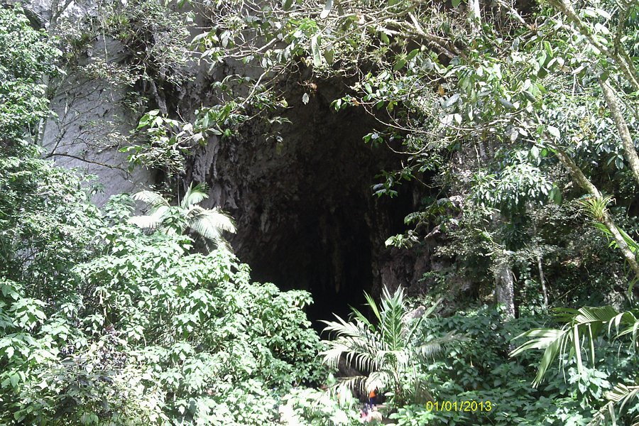 Cave of Guacharo image