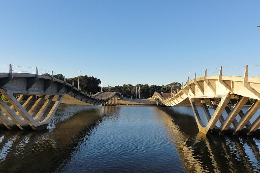 Puente Leonel Viera image