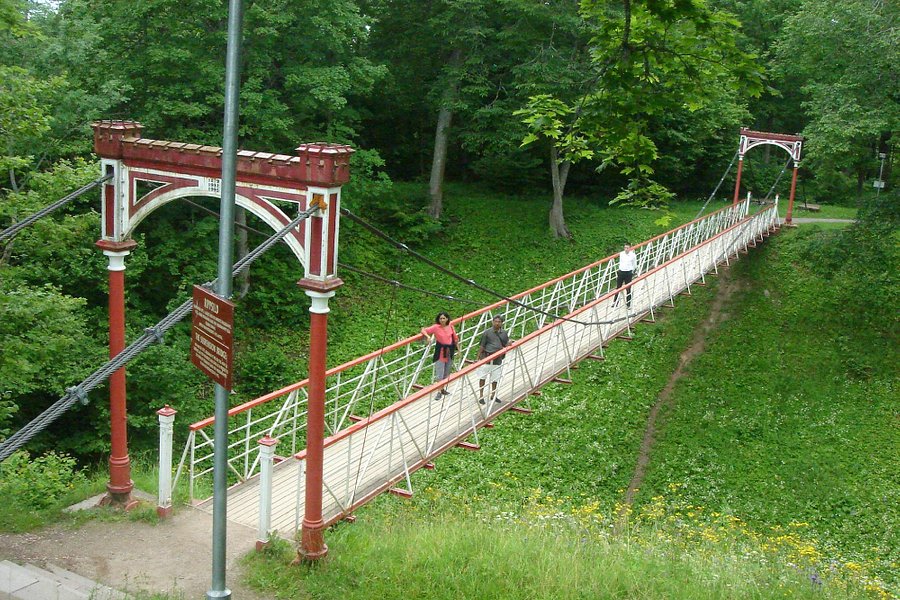 Viljandi Rope Bridge image